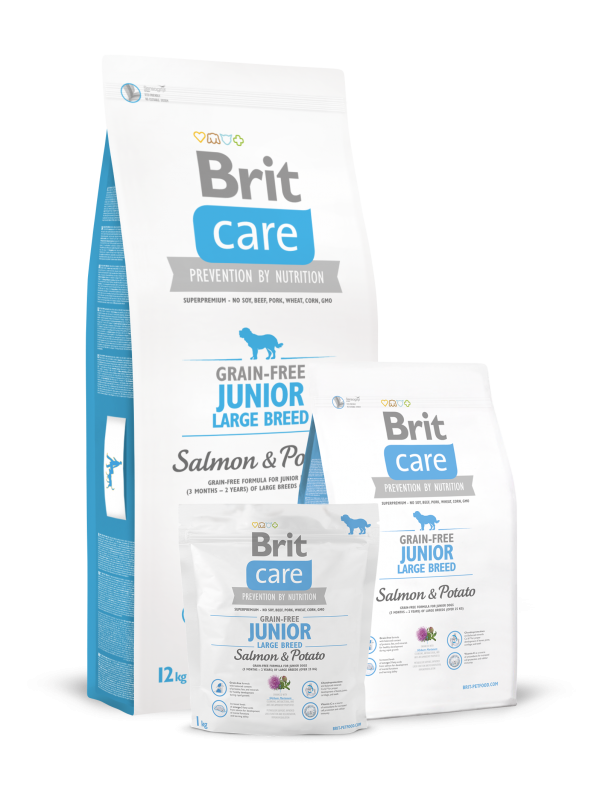 Junior Large Breed Salmon & Potato