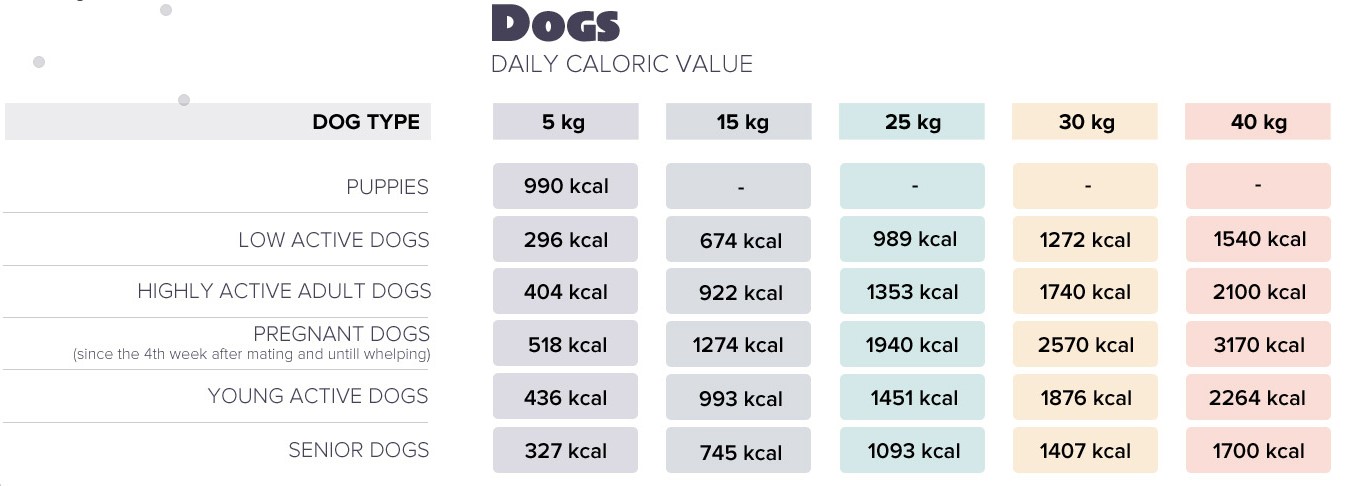 Brit premium 2024 junior large breed